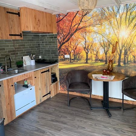 Veluwse Bos En Heide Studio Otterlo Bagian luar foto
