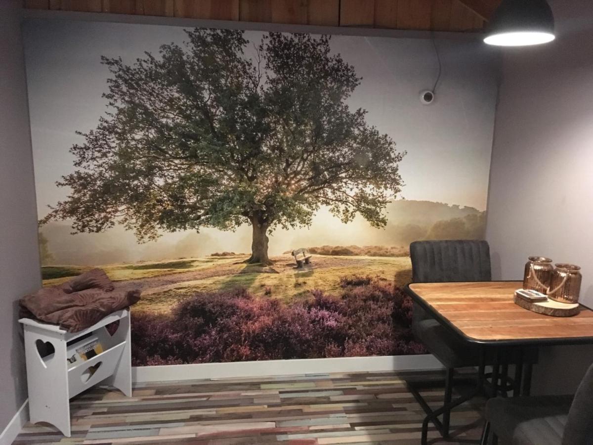 Veluwse Bos En Heide Studio Otterlo Bagian luar foto
